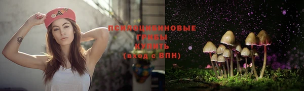 таблы Алексеевка