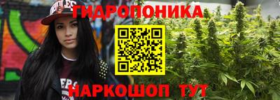 ешки Дубна