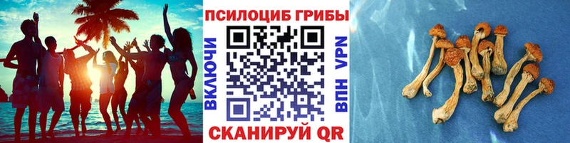 Галлюциногенные грибы Cubensis Менделеевск