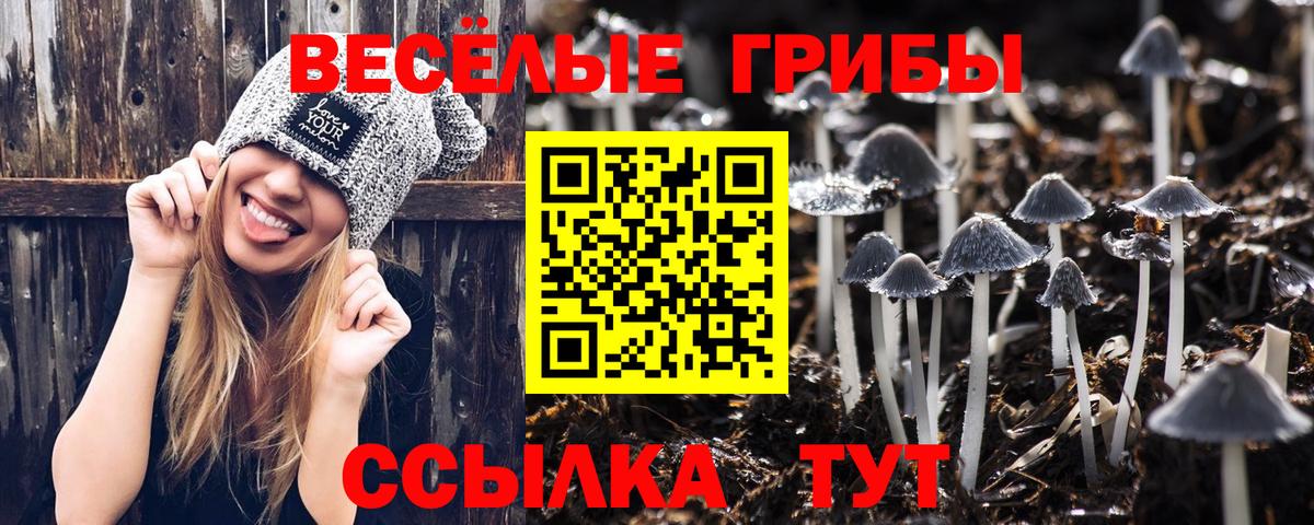 Менделеевск  Псилоцибиновые грибы мицелий  сколько стоит  Вход с VPN 